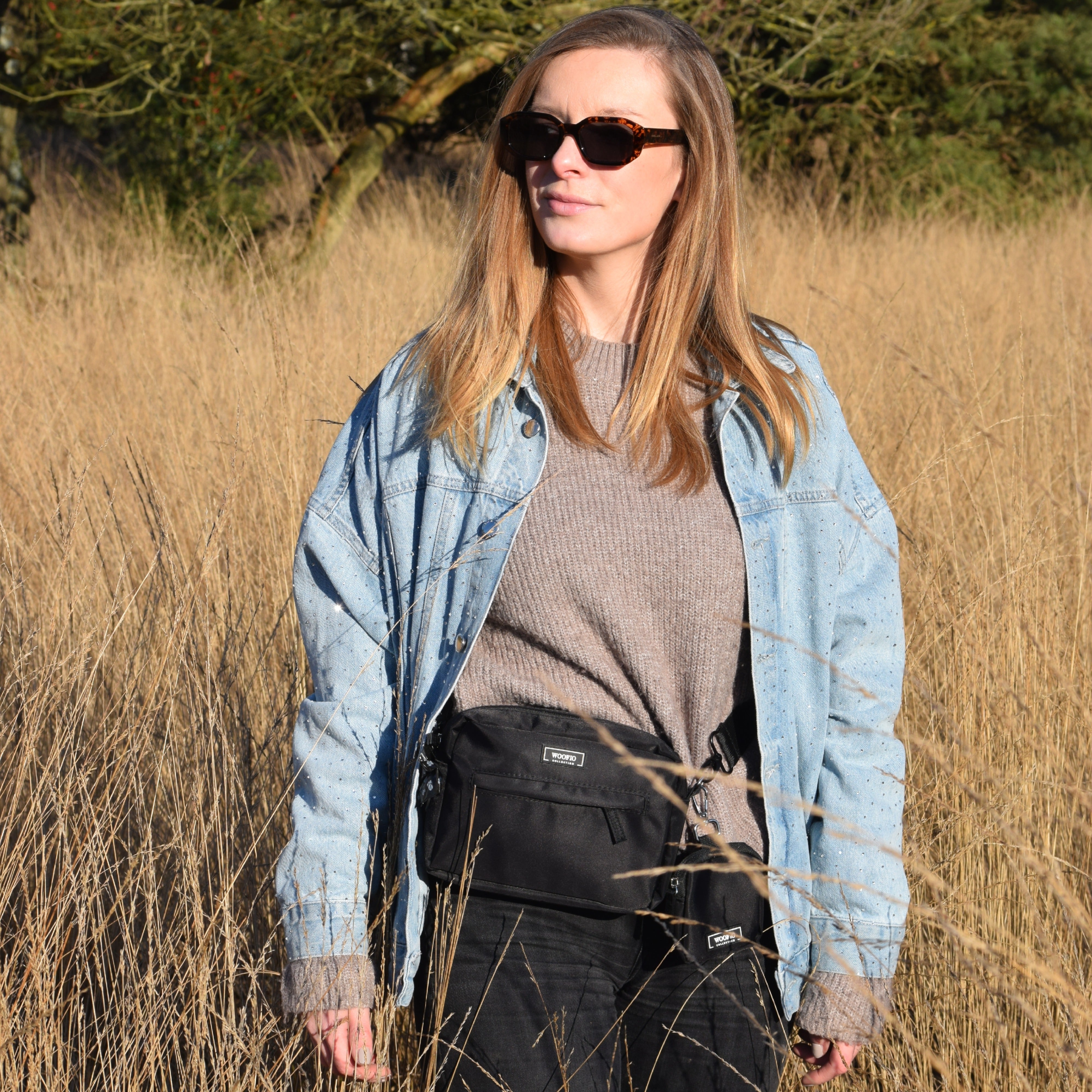 Dog Walking Bag - Black Hip