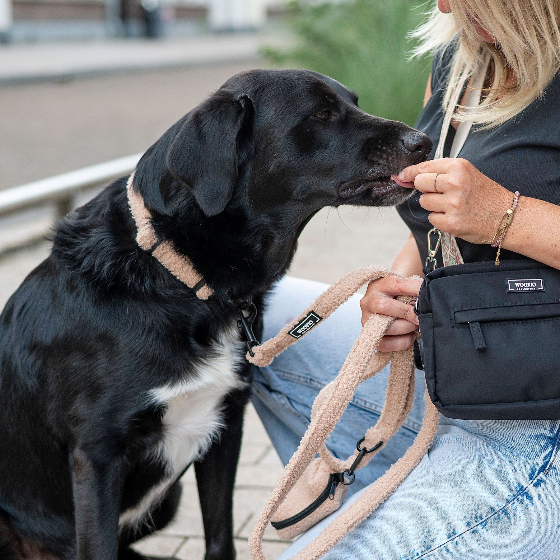 Teddy Set - Collar, Leash & Poop Bag