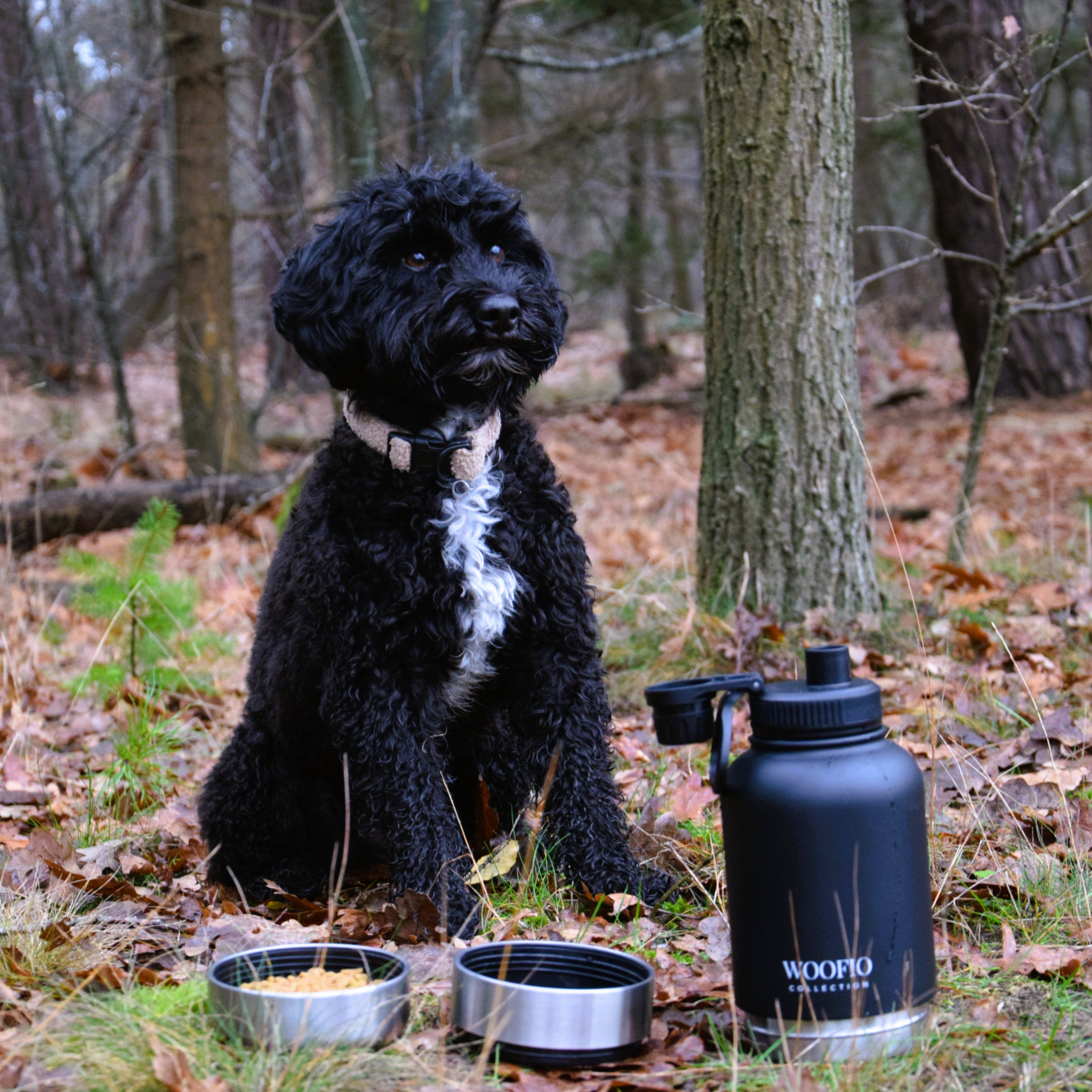 3-in-1 Dog Water Bottle